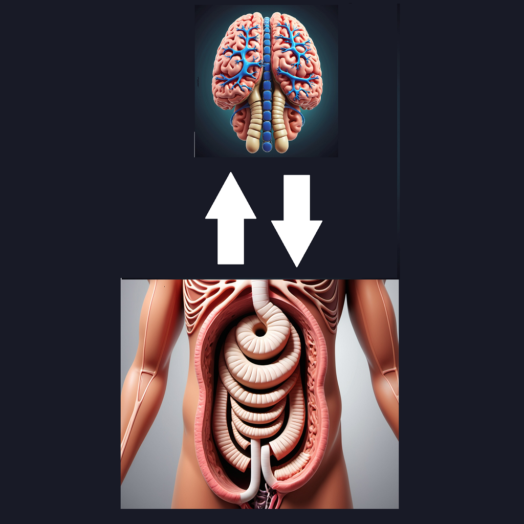 gut brain connection