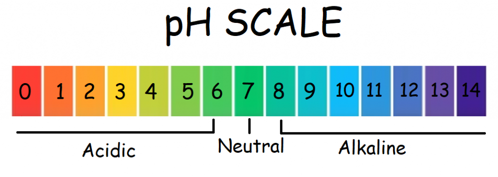 acid and alkaline pH scale