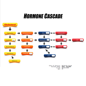 Access Labs Male Hormone Profile Saliva 3 Access Labs Male Hormone Profile Saliva