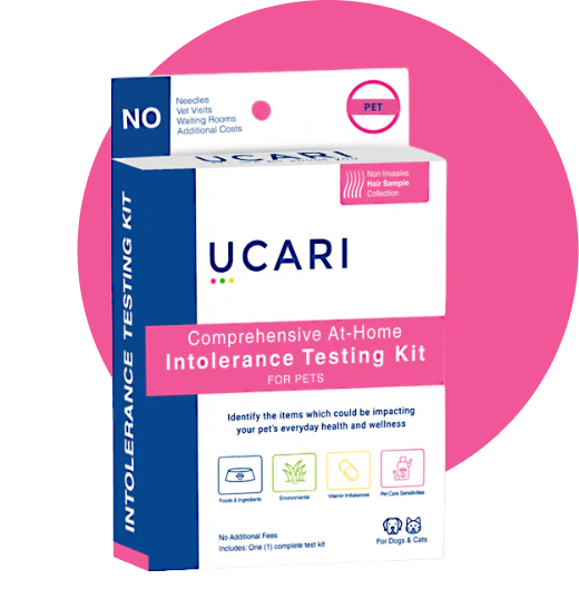 Intolerance Pet Test Kit