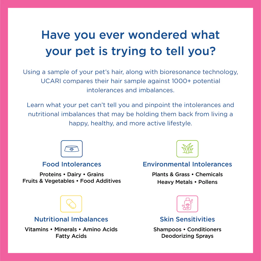 Intolerance Pet Test Kit