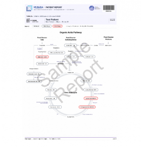 US BioTek Organic Acids Profile 120+ Markers